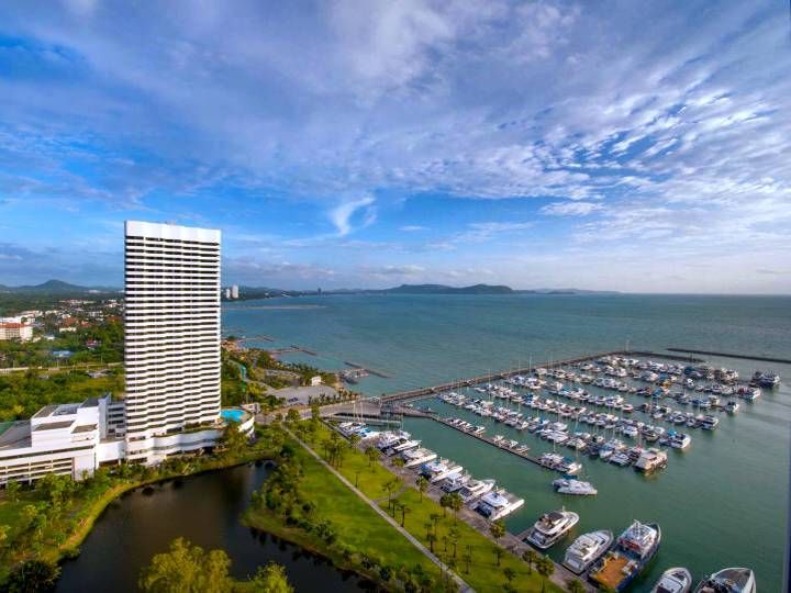 Operate daily from Ocean Marina Yacht Club
