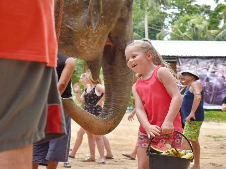 Lets your children get in touch with adorable elephants @Elephant Jungle Sanctuary Samui