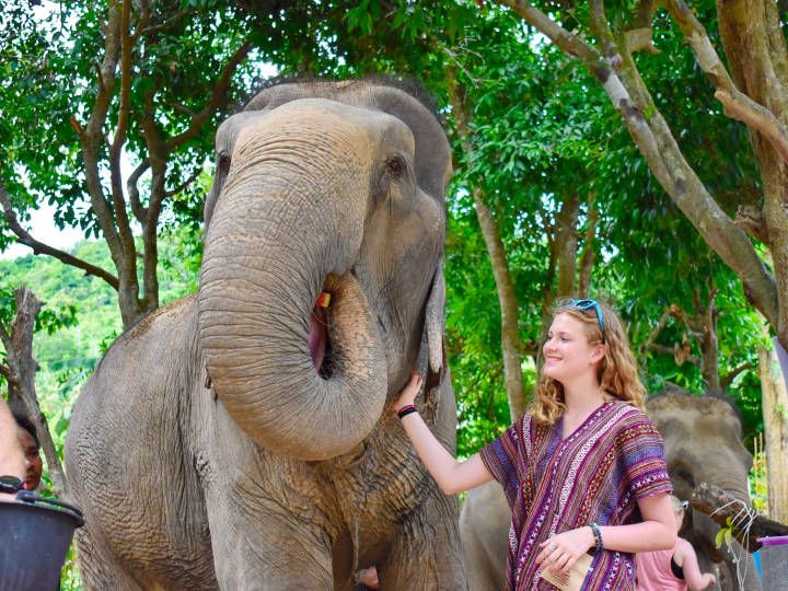 Create memorable time @Elephant Jungle Sanctuary Samui