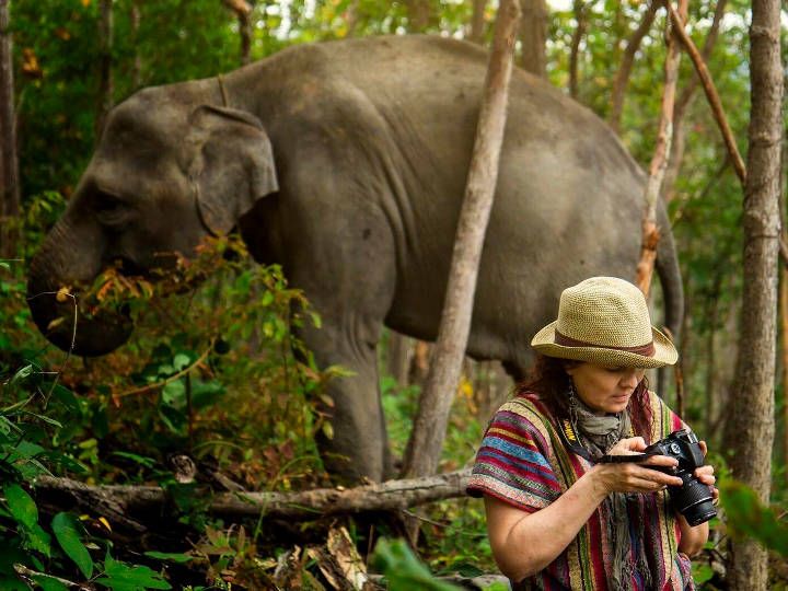 A good day for photographer @Elephant Jungle Sanctuary Phuket