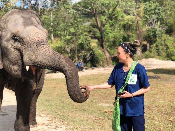 Visit Green Living Foundation, an ethical elephant sanctuary