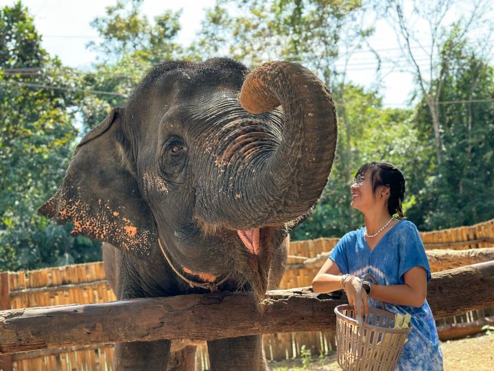 Krabi Elephant Shelter